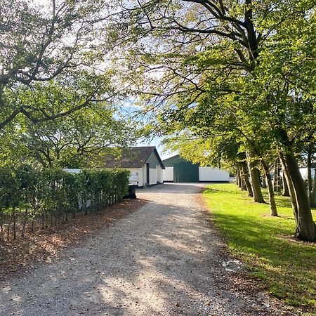 Country Guesthouse Gadstrup 외부 사진
